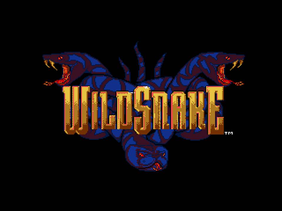 wild 9 psx iso