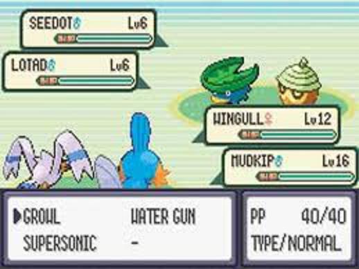 Pokémon emerald starters